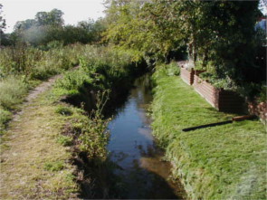 Photograph of a watercourse