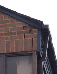 Photograph of brickwork under inspection